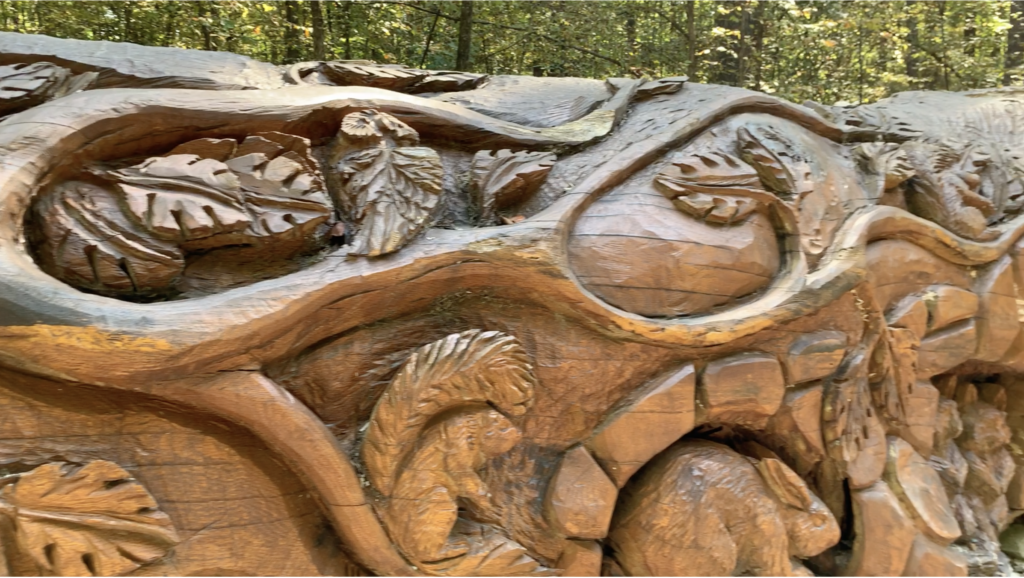 The Chainsaw Log in Umstead State Park