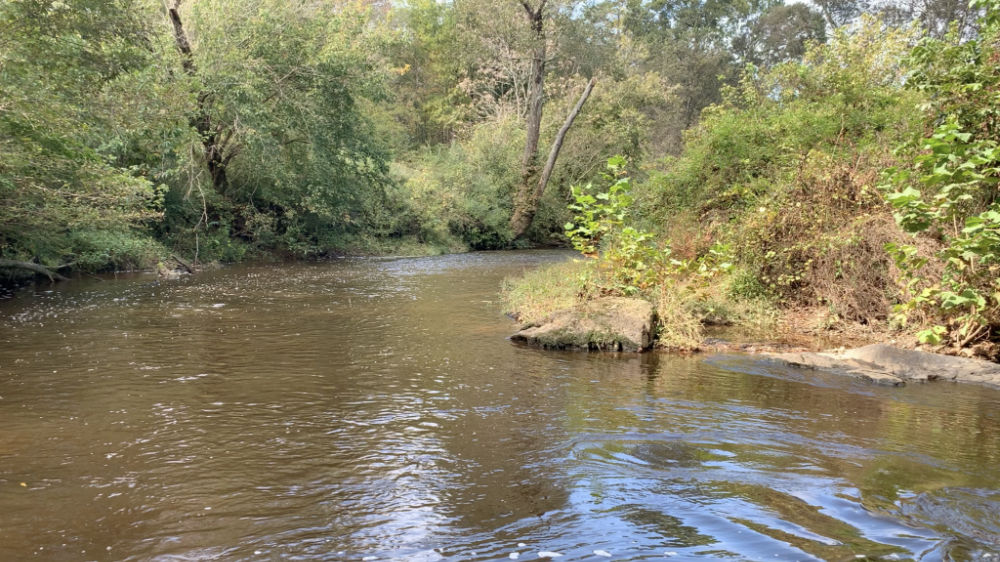 The Eno River running through Hillsborough give the town recreational activities that few towns of this size have.