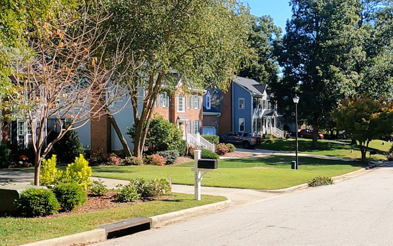 Homes in Shepherd's Vineyard, Apex NC